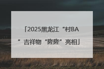 2025黑龙江“村BA”吉祥物“隆隆”亮相