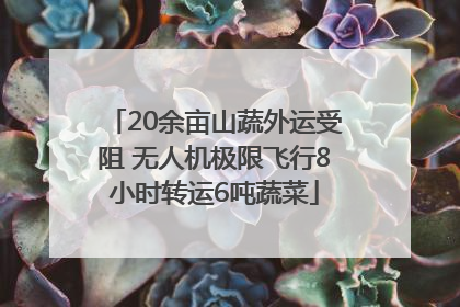 20余亩山蔬外运受阻 无人机极限飞行8小时转运6吨蔬菜