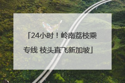 24小时！岭南荔枝乘专线 枝头直飞新加坡
