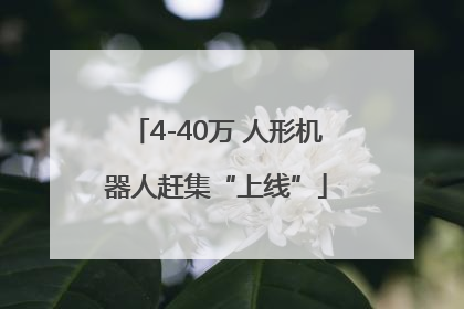 4-40万 人形机器人赶集“上线”