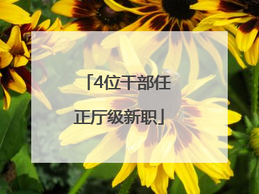 4位干部任正厅级新职