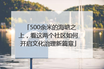 500余米的海塘之上，看这两个社区如何开启文化治理新篇章