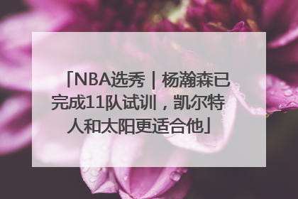 NBA选秀｜杨瀚森已完成11队试训，凯尔特人和太阳更适合他